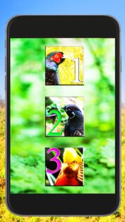 Звук Куропатка Для Охоты 1.0. Скриншот 2