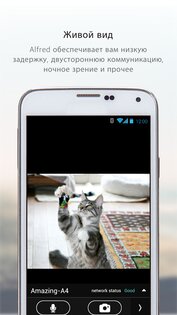 Alfred Camera 2026.1.0. Скриншот 6