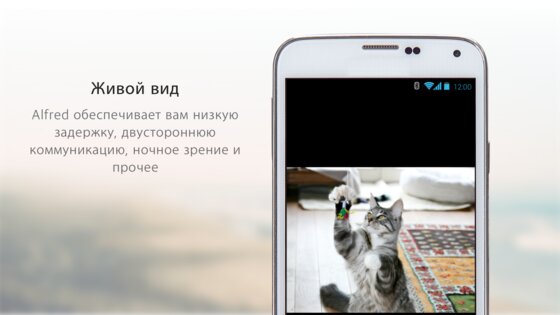 Alfred Camera 2026.1.0. Скриншот 22
