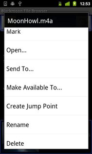 Blackmoon File Browser 7.8i. Скриншот 2