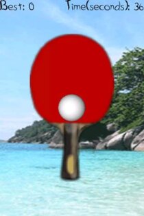 3D Paddle Bounce 2.4.7. Скриншот 1