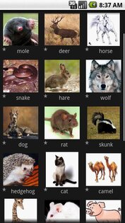 Generals of language 3.7.0. Скриншот 2