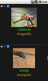 Generals of language 3.7.0. Скриншот 3
