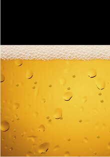 Virtual Beer Free 2.8. Скриншот 1