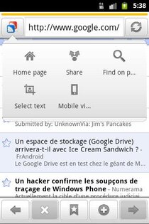 Zirco Browser 0.4.4. Скриншот 3