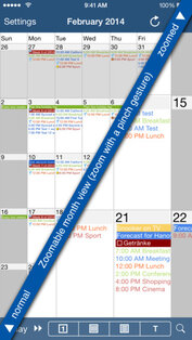 CalenGoo. Скриншот 2