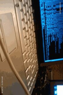 MobileWebCam 3.13. Скриншот 1