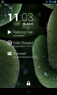 Phantom Music Control 1.67. Скриншот 2