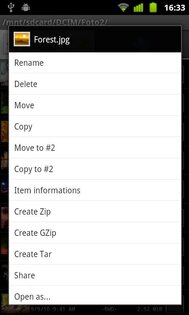 Dual File Manager XT 1.71. Скриншот 4