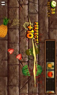 Fruit Slice 1.4.5. Скриншот 9