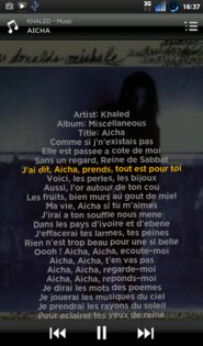 Minilyrics 1.0.8. Скриншот 2