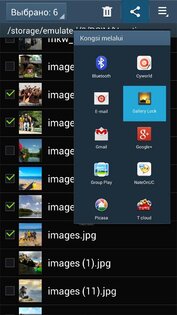 Gallery Lock 5.2.4. Скриншот 8