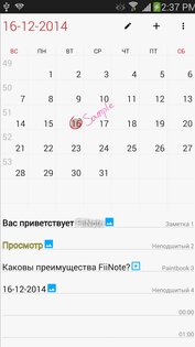 FiiWrite 12.9.0.18. Скриншот 23