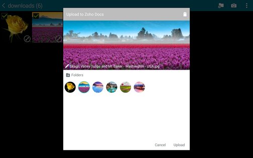 Zoho Docs 3.10. Скриншот 12