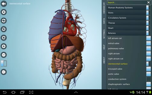 Anatronica 2.06. Скриншот 8