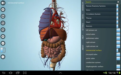 Anatronica 2.06. Скриншот 12