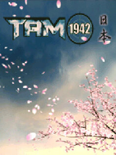 Air Mayhem 1942. Скриншот 1