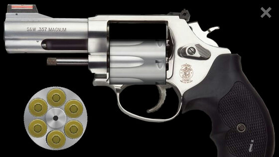 Revolver pro 1.00. Скриншот 2