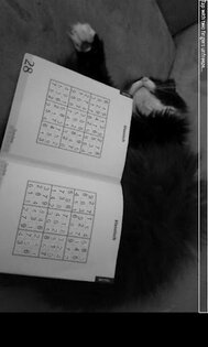 AR Sudoku Solver 0.6. Скриншот 1