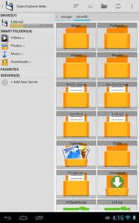 Open Explorer 0.255. Скриншот 2