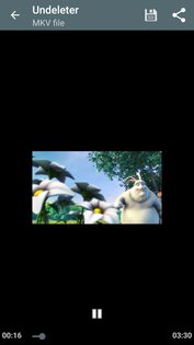 Undeleter 5.5. Скриншот 5