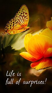 PicsPlay 3.6.1. Скриншот 5