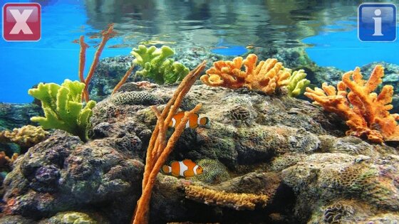 Marine Aqua 1.00. Скриншот 1