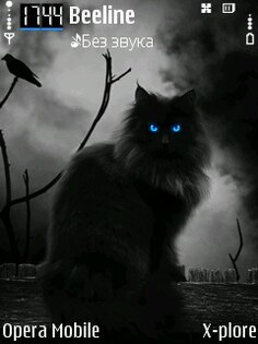 Digital Cat. Скриншот 1