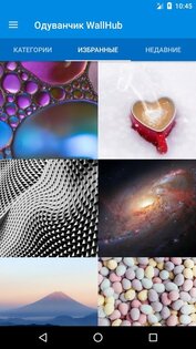 Одуванчик живые обои 2.1.0. Скриншот 1