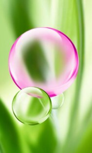 iBubbles Popping 6.3. Скриншот 6