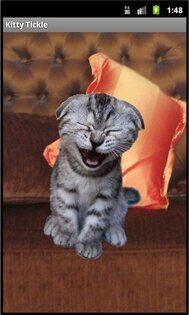 Kitty Tickle 1.1. Скриншот 1
