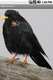 Benchmark 1.03. Скриншот 2