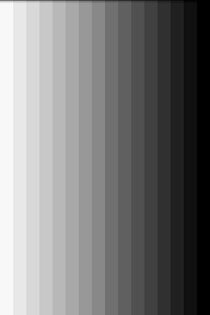 Экранный Тест 1.4.1. Скриншот 2