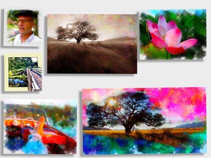 PhotoViva 3.16. Скриншот 6