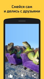 АйДаПрикол 10.31.12. Скриншот 5