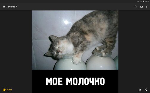 АйДаПрикол 10.31.12. Скриншот 8