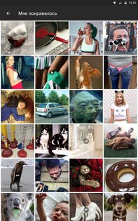 АйДаПрикол 10.31.12. Скриншот 15