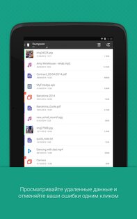 Dumpster 3.34.427.2bb9. Скриншот 1