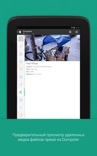 Dumpster 3.34.427.2bb9. Скриншот 2