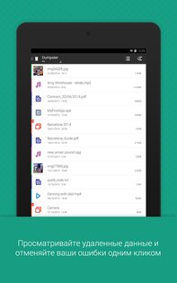 Dumpster 3.34.427.2bb9. Скриншот 15