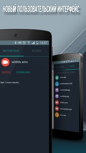 Download Manager for Android 5.10.14010. Скриншот 2