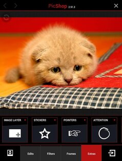 PicShop Lite 3.1.1. Скриншот 17