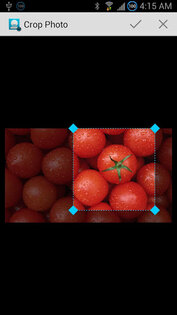 Contact Photo Sync 2.6. Скриншот 3