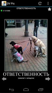 DVPic - Прикольные картинки и демотиваторы 2.5. Скриншот 3