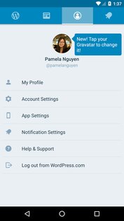 WordPress 26.4. Скриншот 3