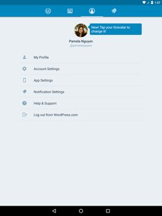 WordPress 26.4. Скриншот 9