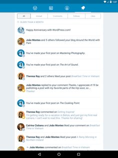WordPress 26.4. Скриншот 10