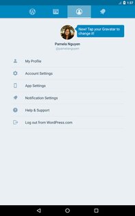 WordPress 26.4. Скриншот 15