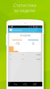 piBalance 2.505. Скриншот 5