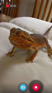 Snap Camera HDR 8.7.8. Скриншот 7